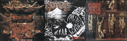 Nephyla : Ripping Organs - Nephyla - Cerebral Crusher